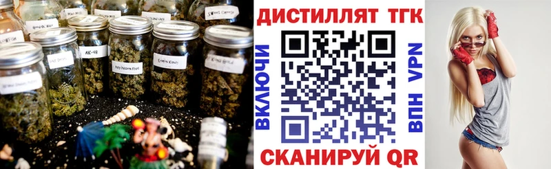 ТГК концентрат  Купить  Нижнеудинск 