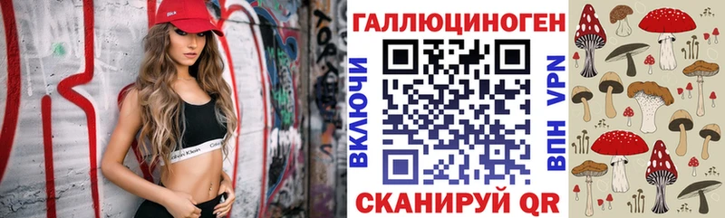Купить закладки Нижнеудинск Галлюциногенные грибы Magic Shrooms
